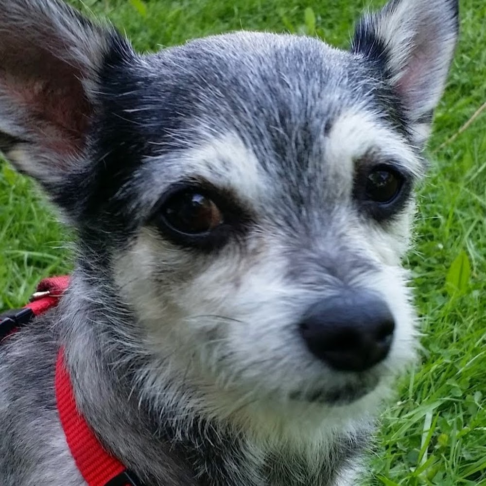 Meet your Posher, Sally